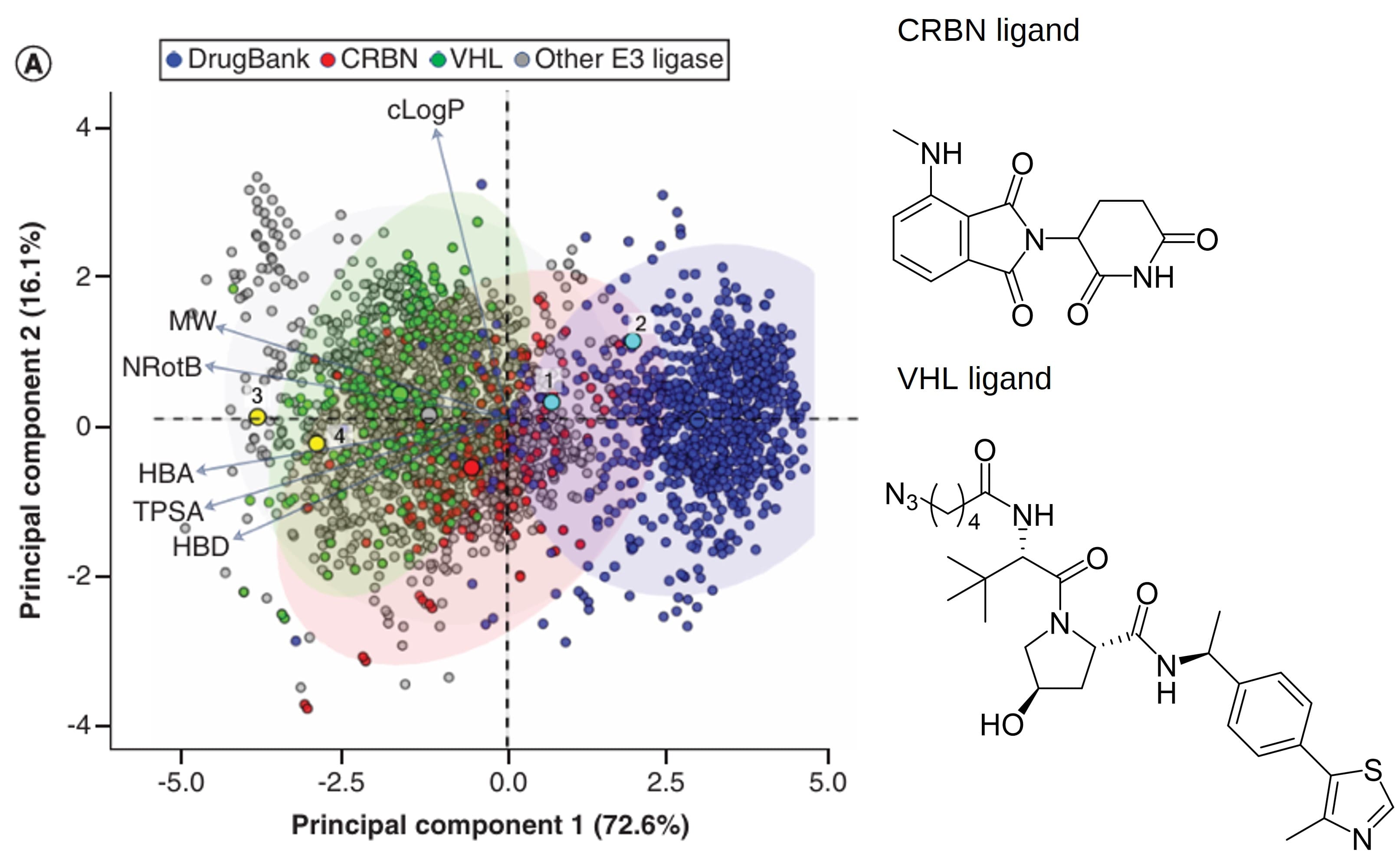 Structures of CRBN, VHL Ligands, and comparison of chemical properties of PROTAC molecules with oral drugs included in DrugBank. Adapted from reference