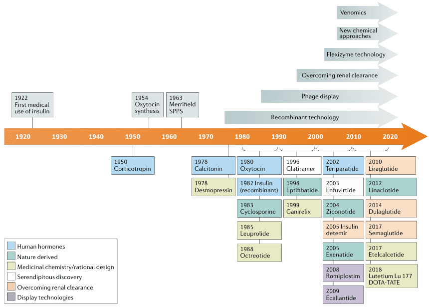 Development and milestones of peptide drugs