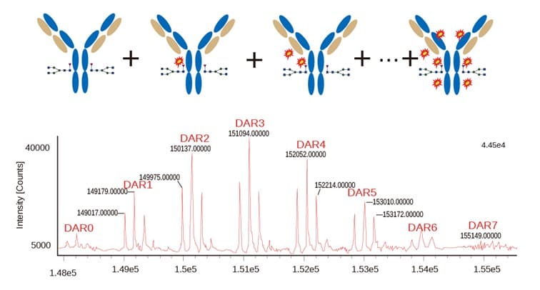 T-DM1 ADC DAR characterization results T-DM1 ADC DAR characterization results