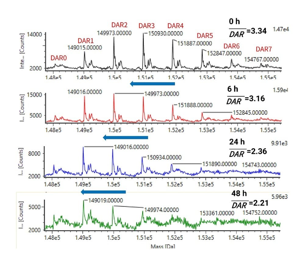 In vitro plasma stability of T-DM1 In vitro plasma stability of T-DM1