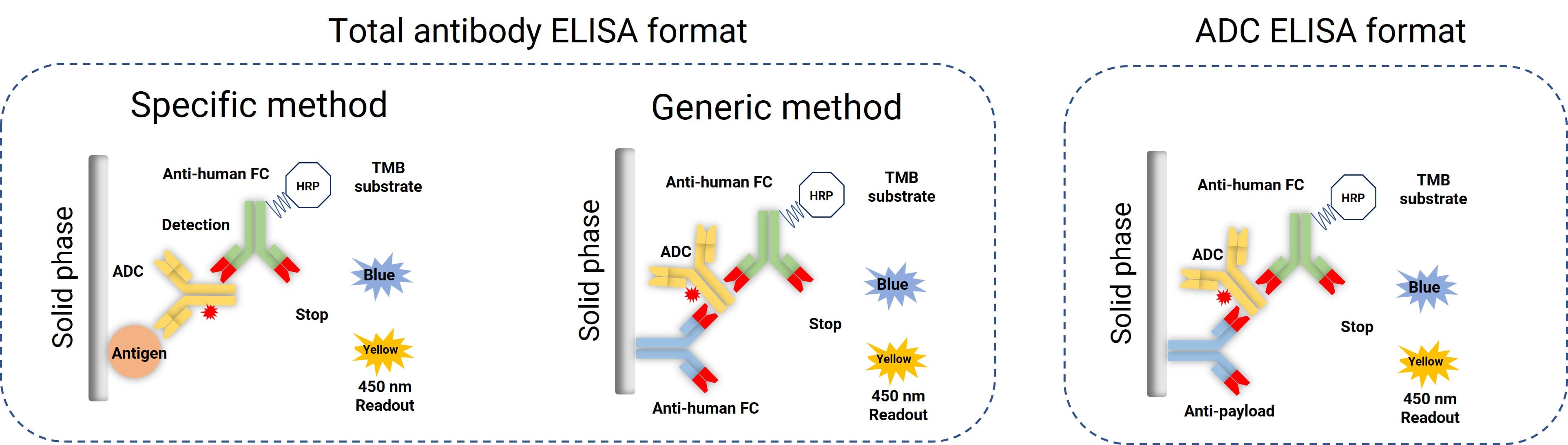 Common ELISA assay formats for total antibody and conjugated antibody bioanalysis Common ELISA assay formats for total antibody and conjugated antibody bioanalysis