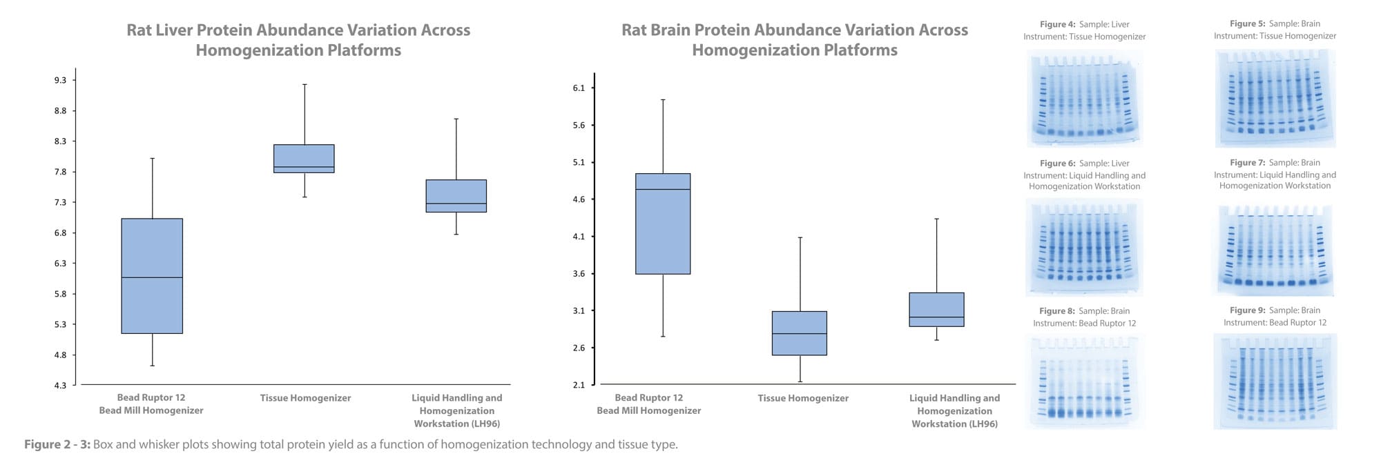 Total protein content and protein abundance analysis after homogenization using different instruments