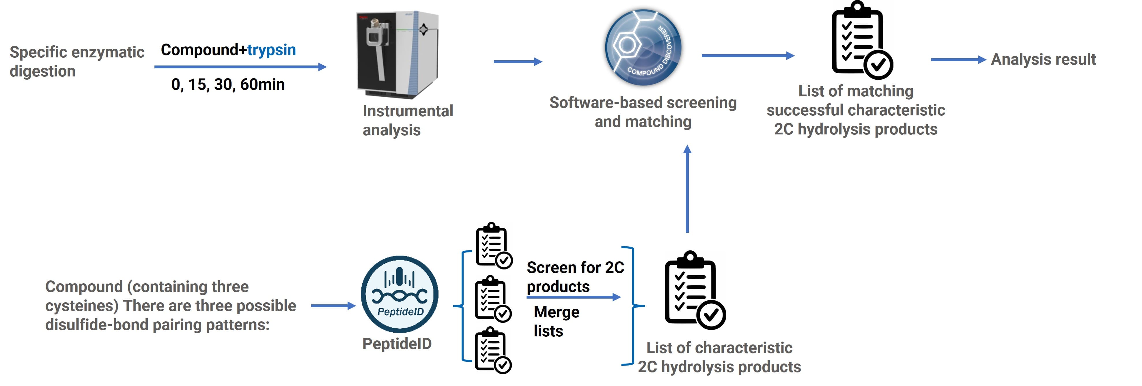 Data processing workflow for disulfide bond mapping by enzymatic digestion Data processing workflow for disulfide bond mapping by enzymatic digestion