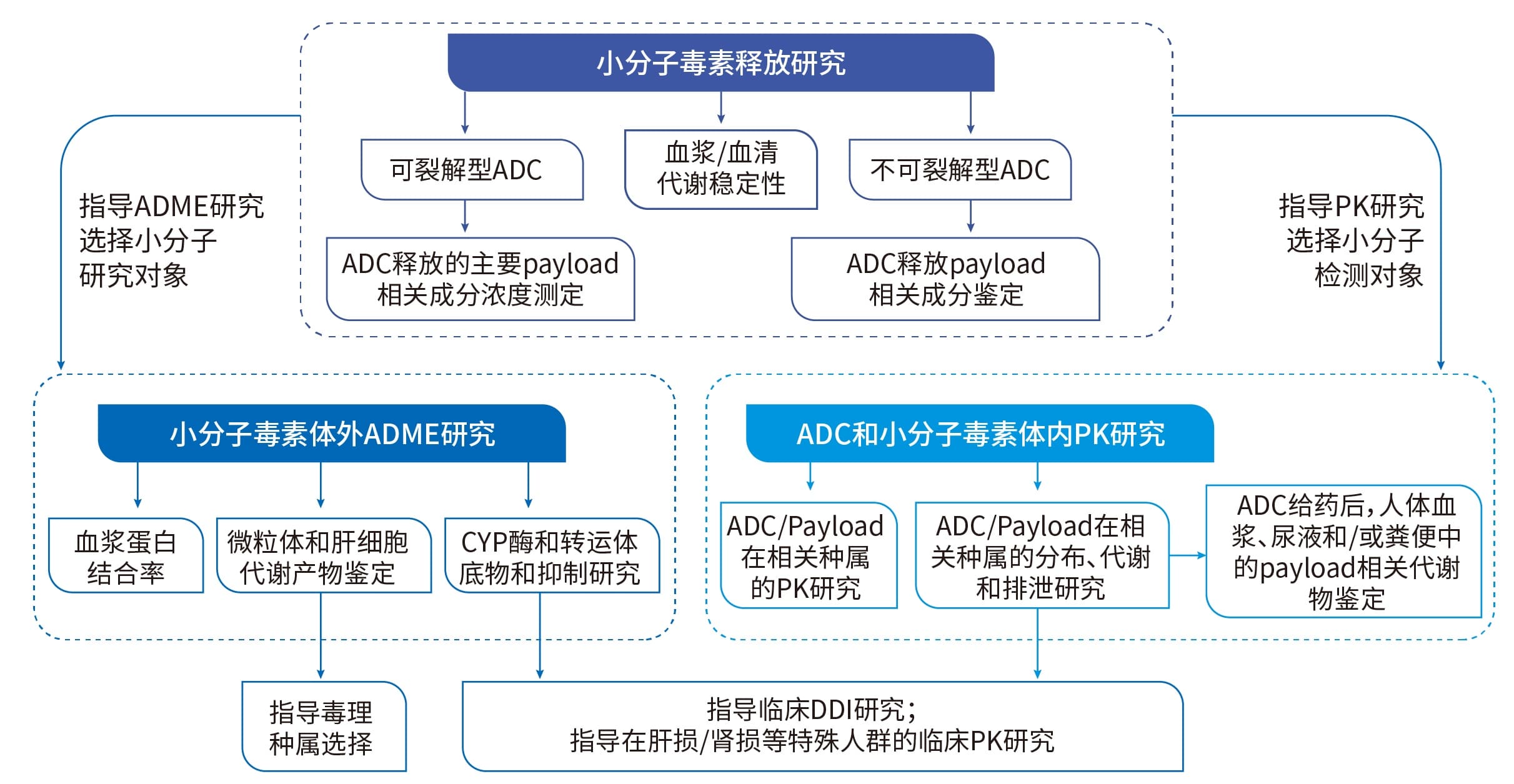ADC药物DMPK研究策略