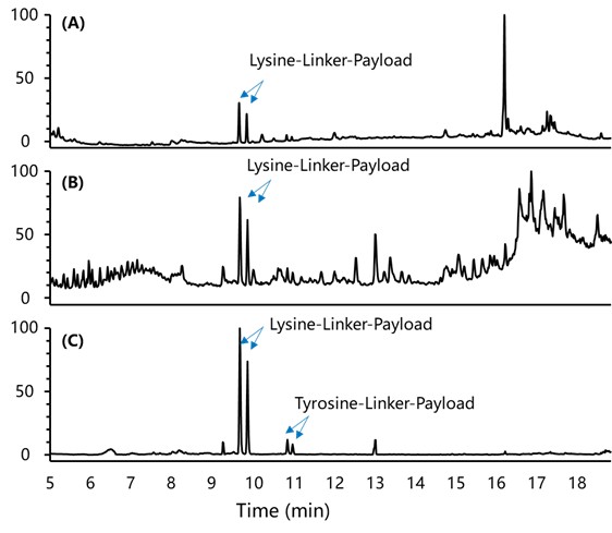 LC-UV (A), LC-MS/MS (B), and background-subtracted LC-MS/MS (C) of ADC-1 after acidified lysosomal incubation
