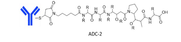 Structural diagram of ADC-2