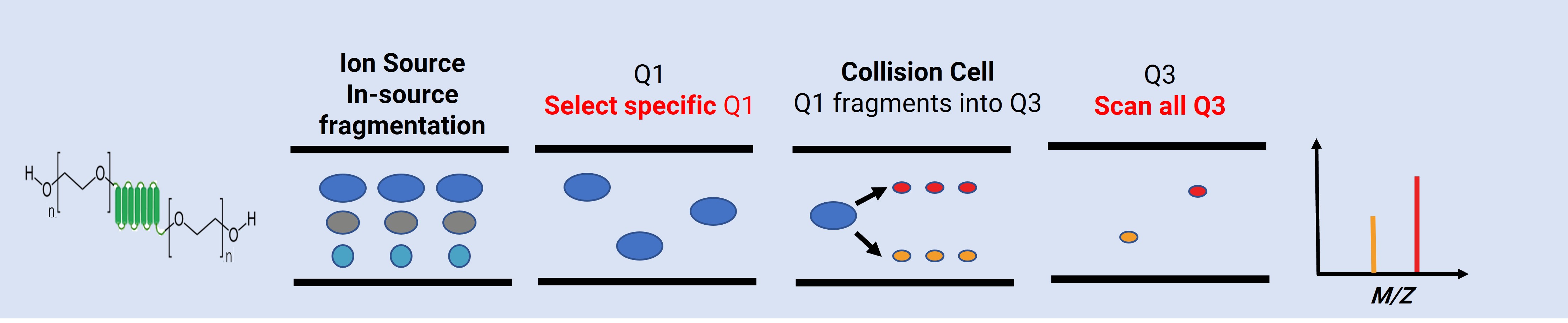 Schematic diagram of product ion scan