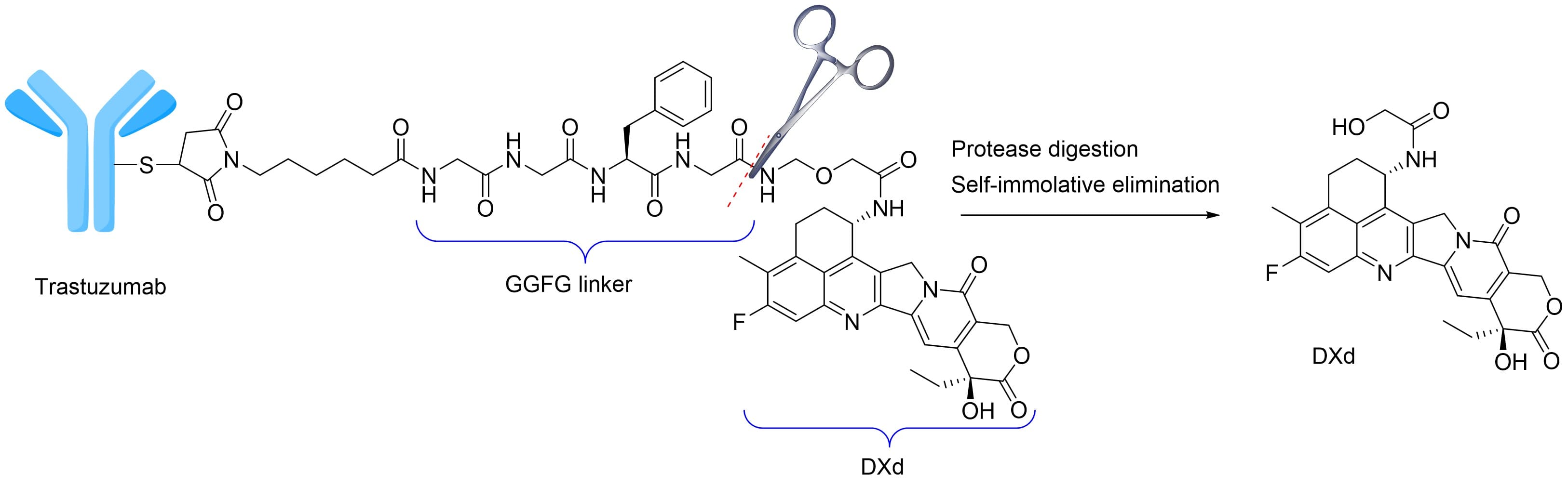 Structure diagram and release mechanism of DS8201