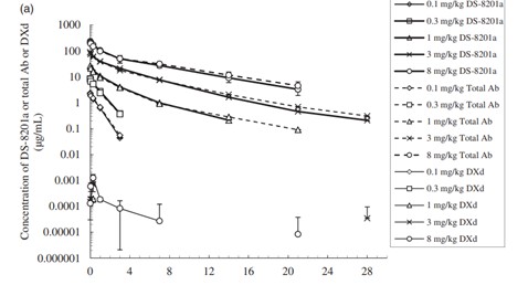 In vivo pharmacokinetics data after injection of DS-8201 in monkeys (dosage of 0.1-8 mg/kg; ━: total ADC;---: total antibody; ─: payload DXd) 