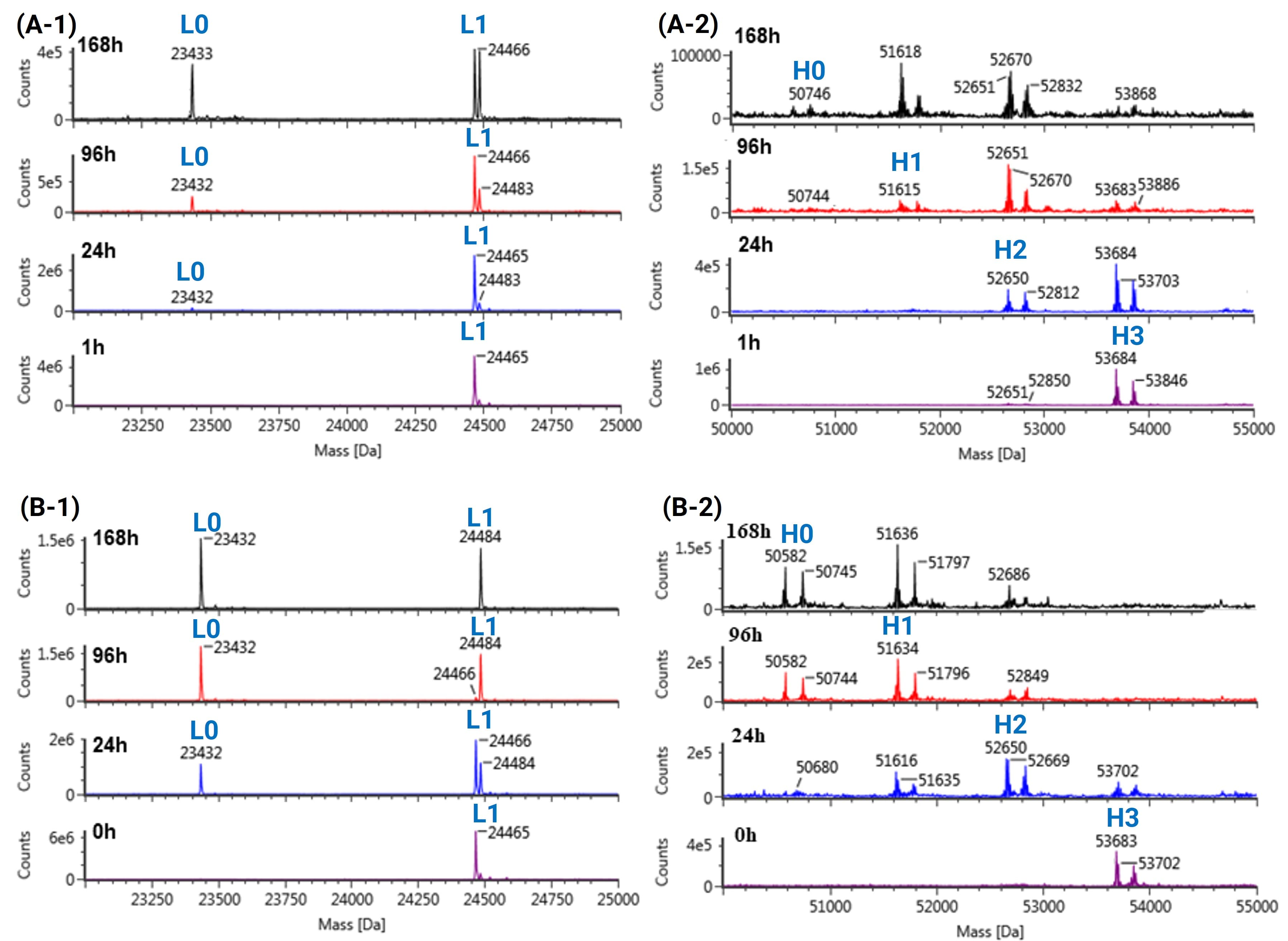 Deconvoluted mass spectra of T-DXd in plasma samples