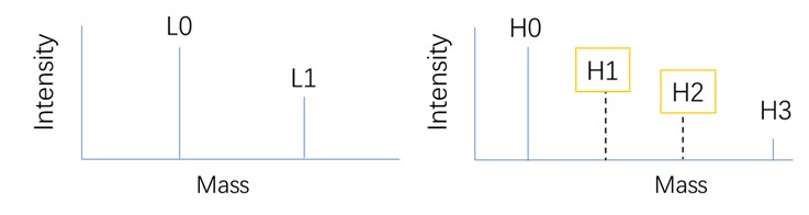 Schematic intensity of different DAR species of antibody in the mass spectrum