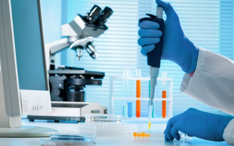 Choosing Appropriate Model to Assess PROTAC Drug-Drug Interactions with Efflux Transporters