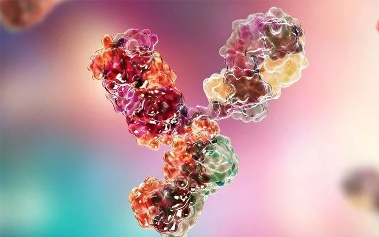 Strategies and Methods for Studying ADC Payload Release and Metabolism