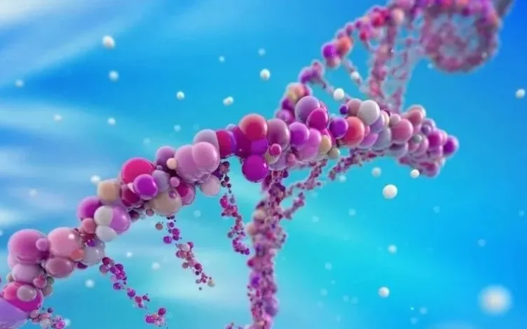 Application of Liquid Chromatography-Mass Spectrometry (LC-MS) in Oligonucleotides Quantitative Analysis
