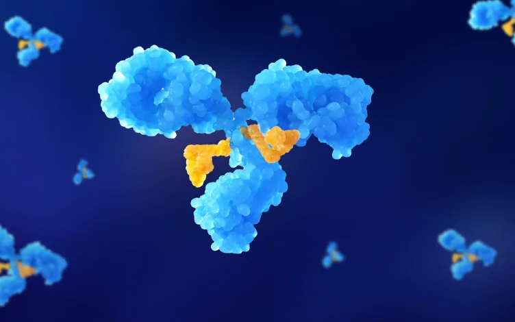 Advancing Antibody-Drug Conjugates (ADCs) with Novel Payloads and Their DMPK Considerations