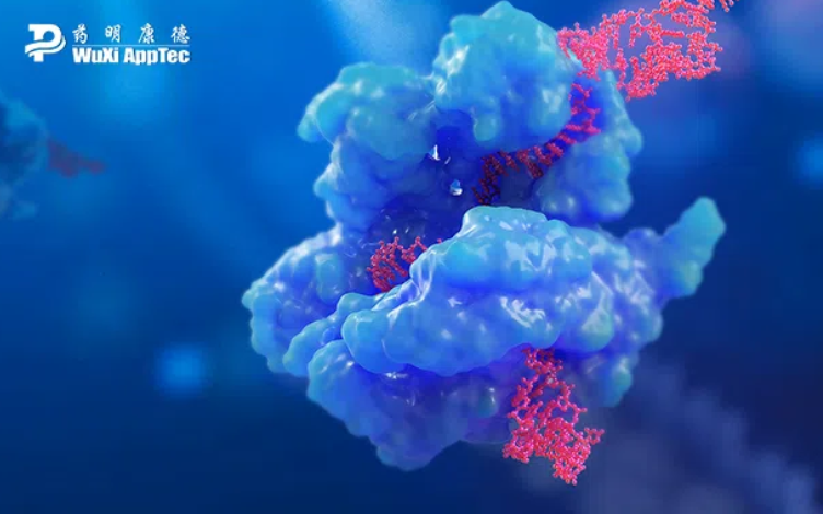 Exploring Our Latest Publication on Bioanalysis: Review on the Bioanalysis of Non-Virus-Based Gene Therapeutics