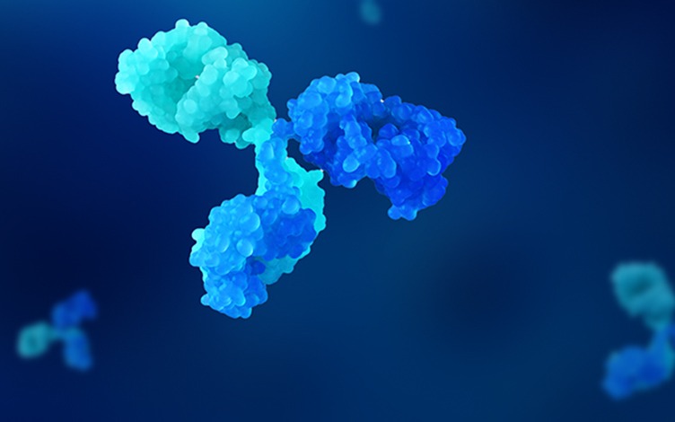Exploring T-Cell Engagers (TCEs): Mechanism, Challenges, and Pharmacokinetic Considerations