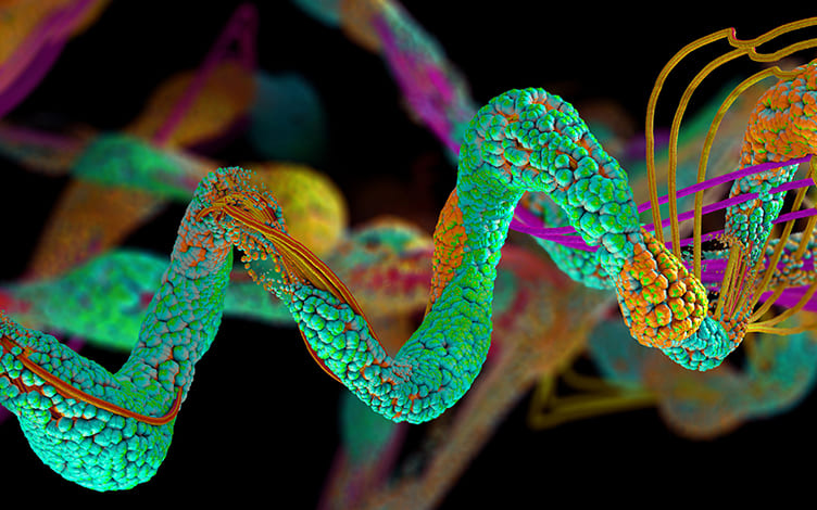Unveiling Amino Acid Analysis: Challenges and Best Practices with Biological Samples
