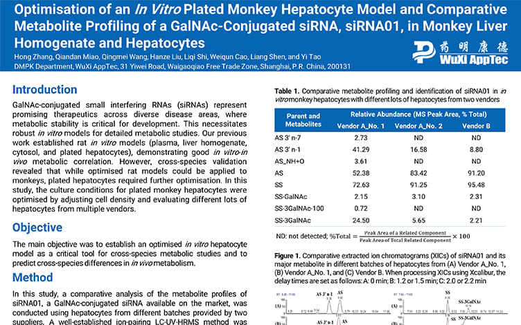 Optimisation of an In Vitro Plated Monkey Hepatocyte Model and Comparative Metabolite Profiling of a GalNAc-Conjugated siRNA, siRNA01, in Monkey Liver Homogenate and Hepatocytes