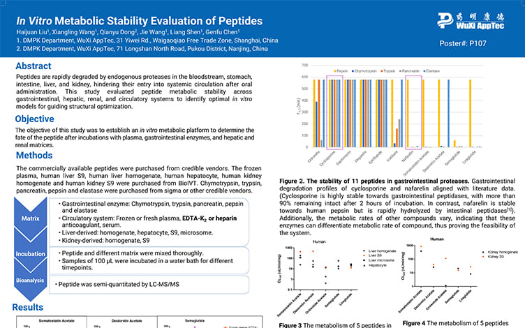 In Vitro Metabolic Stability Evaluation of Peptides