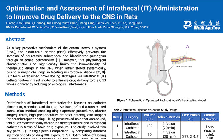 Optimization and Assessment of Intrathecal (IT) Administration to Improve Drug Delivery to the CNS in Rats
