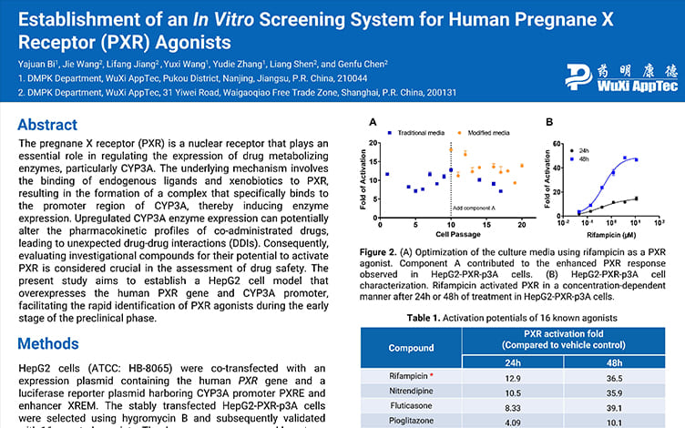 Establishment of an In Vitro Screening System for Human Pregnane X Receptor (PXR) Agonists