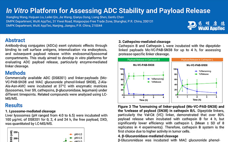 In Vitro Platform for Assessing ADC Stability and Payload Release 