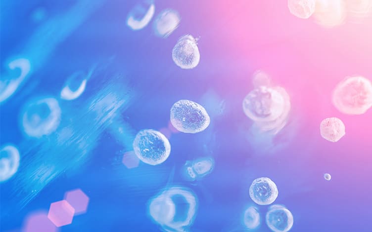 Unveiling Lipidomics Quantitative Analysis: What, Why, and How