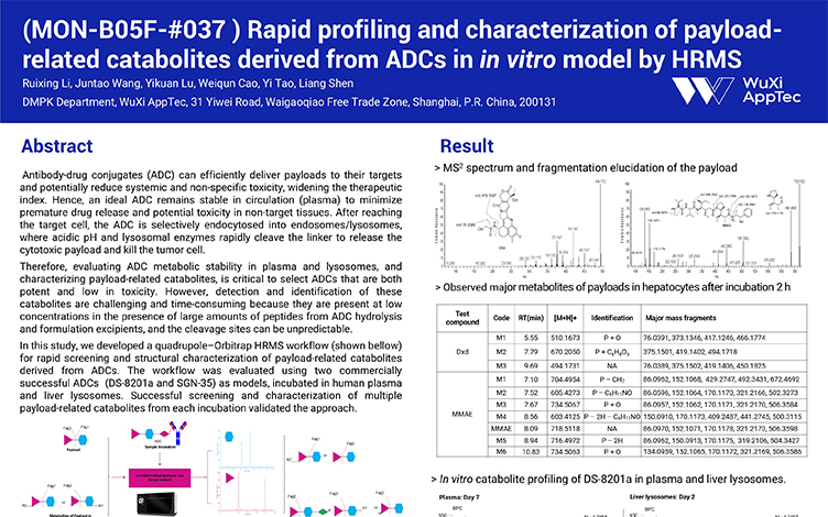 Rapid Profiling and Characterization of Payload-Related Catabolites Derived from ADCs in In Vitro Model by HRMS