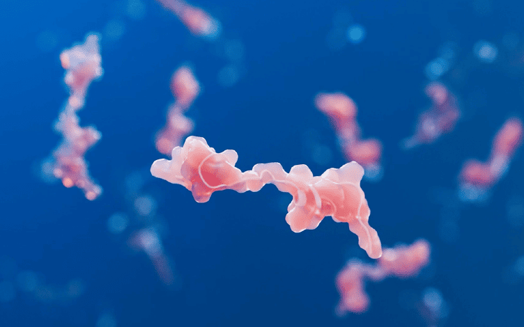 Decoding Peptide Metabolism: The Role of Peptide Enzymes and Peptide Optimization Strategies
