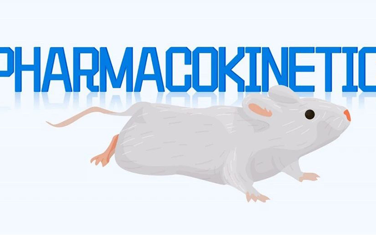 One mouse One PK系统助力生物药DMPK研究