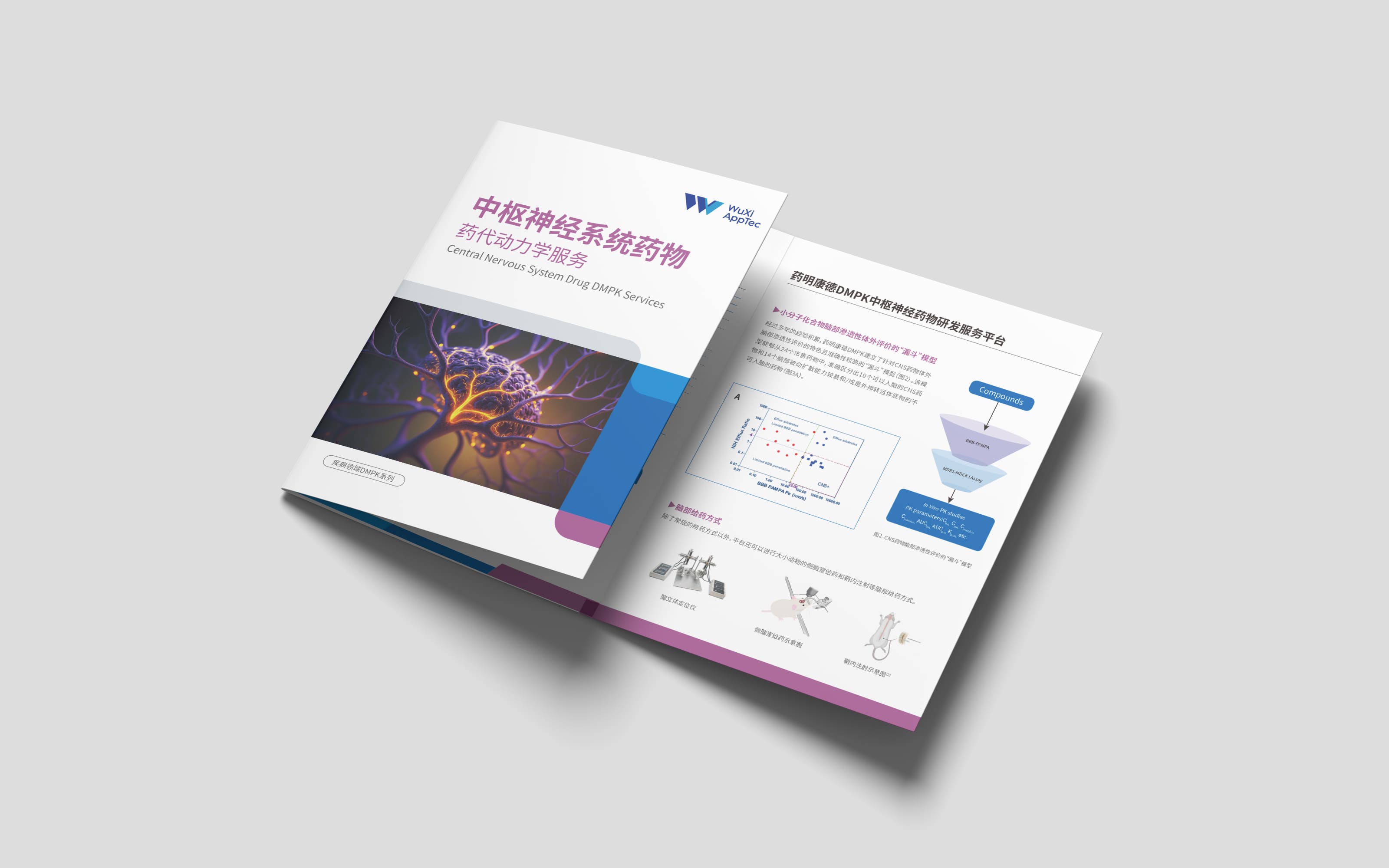 中枢神经系统药物药代动力学服务.jpg