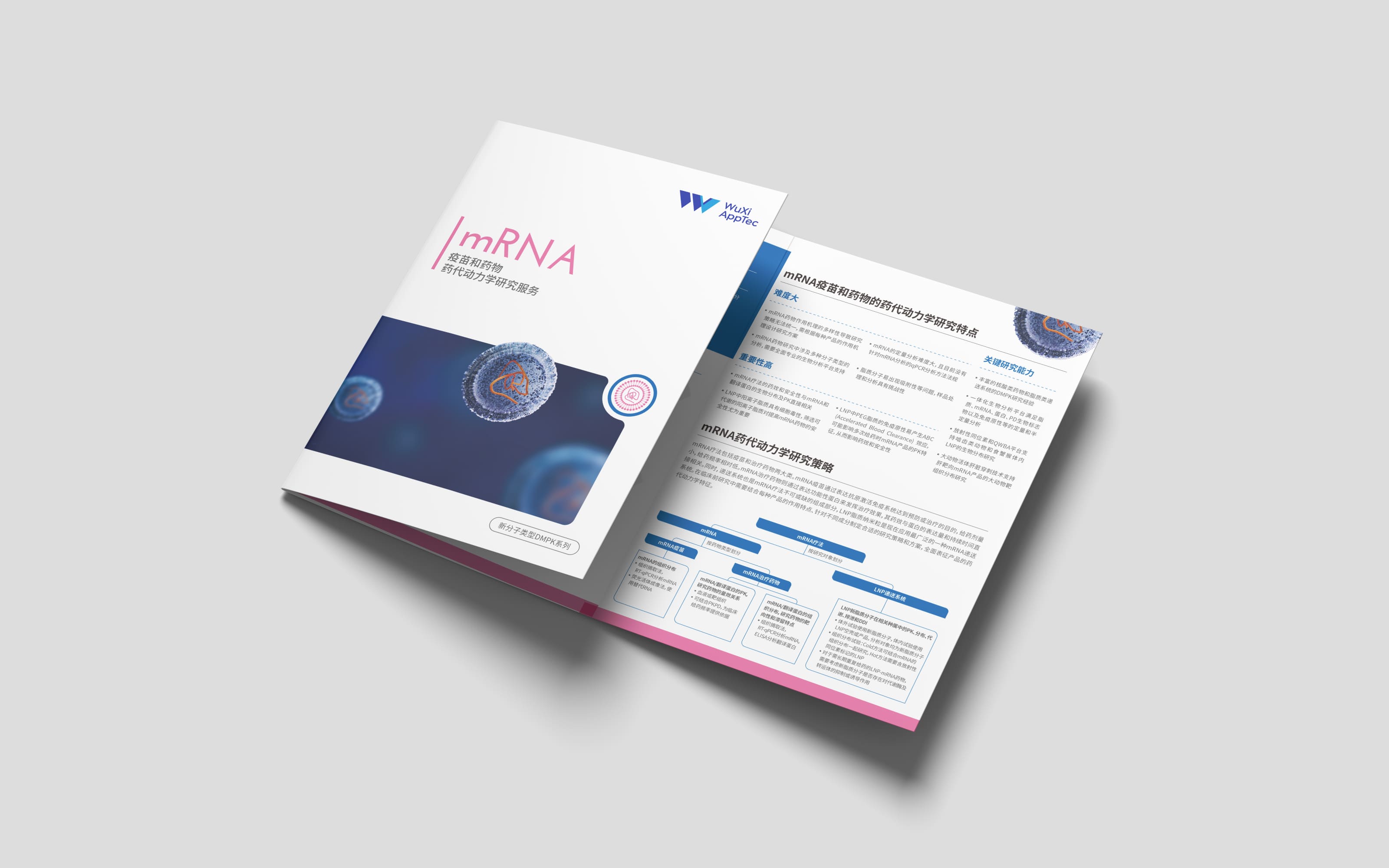 mRNA药物药代动力学研究服务.jpg